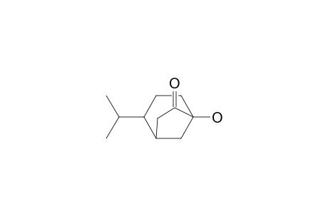 Bicyclo[3.2.1]octan-6-one, 5-hydroxy-2-(1-methylethyl)-, endo-(.+-.)-