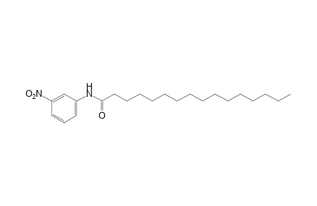 3'-nitropalmitanilide