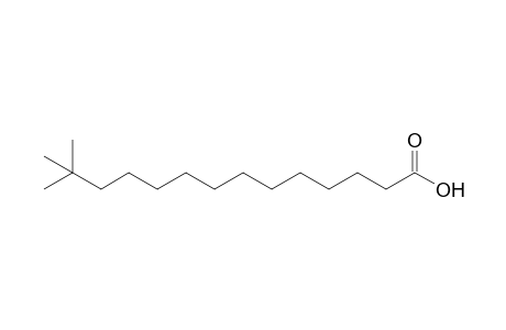 13,13-dimethyltetradecanoic acid