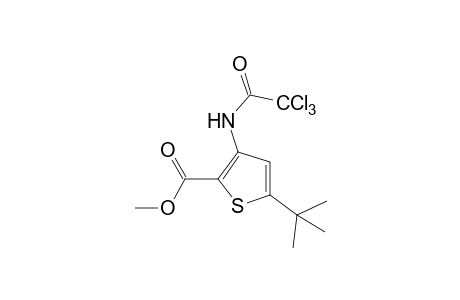 5-tert-butyl-3-(2,2,2-trichloroacetamido)-2-thiophenecarboxylic acid, methyl ester