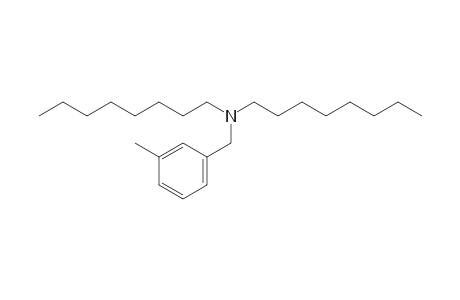 3-Methylbenzylamine, N,N-dioctyl-