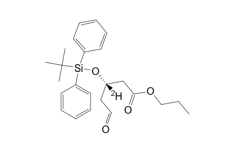 [3-(2)-H]-(3S)-5-OXO-3-TERT.-BUTYL-DIPHENYLSILYLOXY-PENTANOIC-ACID-PROPYLESTER