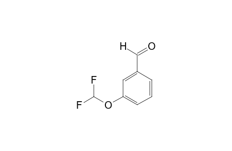 3-(Difluoromethoxy)benzaldehyde