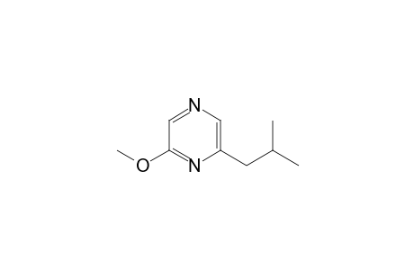 2-METHOHY-6-(2-METHYLPROPYL)-PYRAZINE