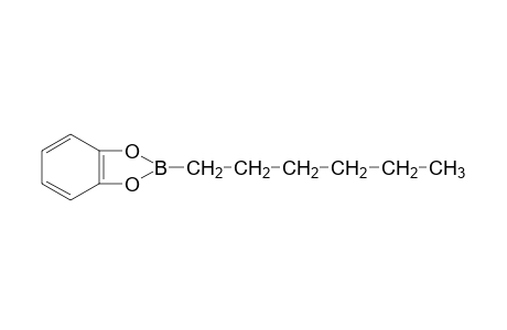 B(C6H13)(1,2-O2C6H4)
