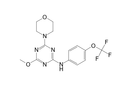 N-[4-methoxy-6-(4-morpholinyl)-1,3,5-triazin-2-yl]-N-[4-(trifluoromethoxy)phenyl]amine