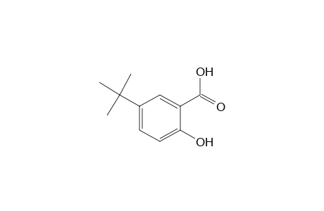 5-Tert-butylsalicylic acid