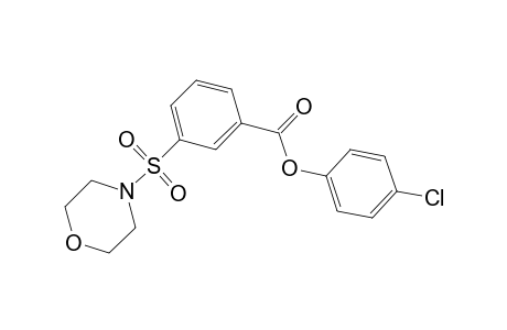 benzoic acid, 3-(4-morpholinylsulfonyl)-, 4-chlorophenyl ester