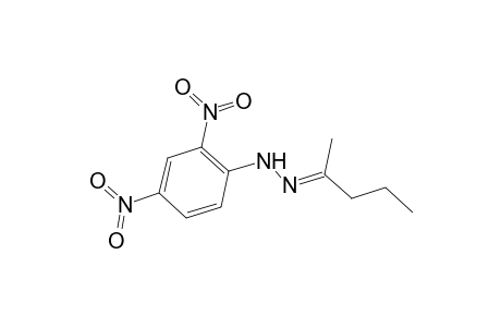 2-Pentanone, (2,4-dinitrophenyl)hydrazone