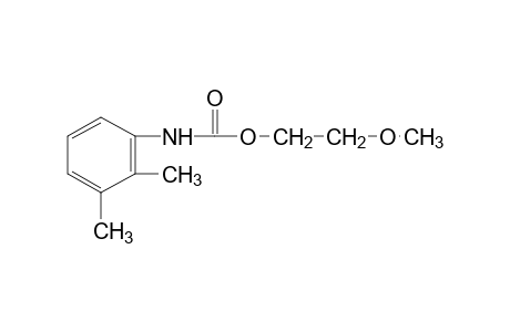 2,3-dimethylcarbanilic acid, 2-methoxyethyl ester