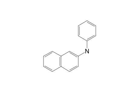 N-phenyl-2-naphthylamine