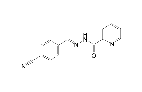 2-pyridinecarboxylic acid, 2-[(E)-(4-cyanophenyl)methylidene]hydrazide