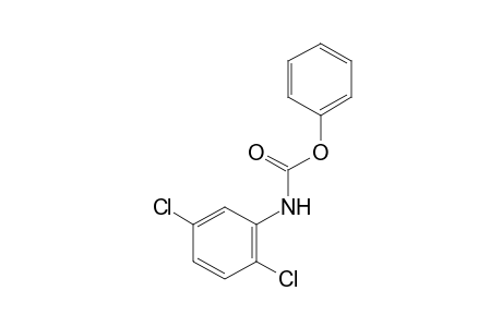 2,5-dichlorocarbanilic acid, phenyl ester