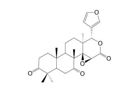 EKEBERIN_C_1