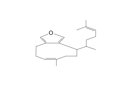 DICTYOFURAN C