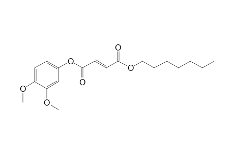 Fumaric acid, 3,4-dimethoxyphenyl heptyl ester