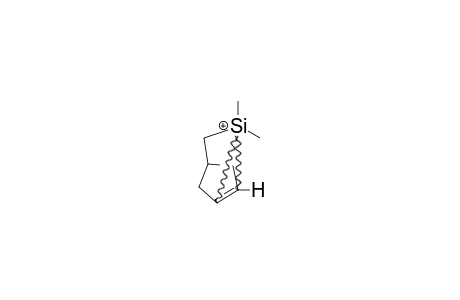 2,2-DIMETHYL-2-SILANORBORNYL-CATION