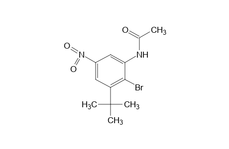 2'-bromo-3'-tert-butyl-5'-nitroacetanilide