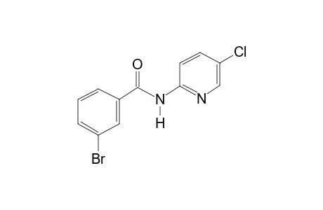 3-Bromo-N-(5-chloro-2-pyridyl)benzamide