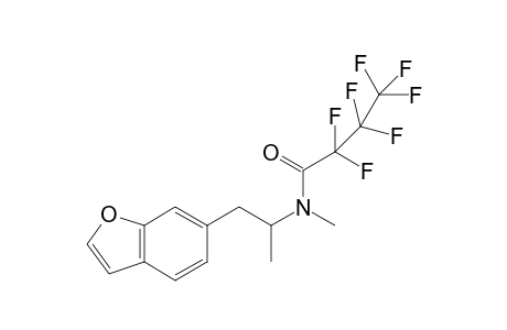 6-MAPB HFB