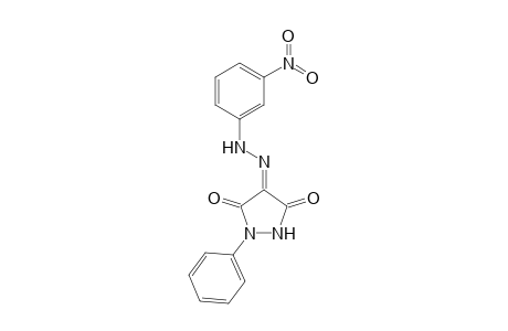 4-[2-(3-Nitrophenyl)hydrazinylidene]-1-phenylpyrazolidine-3,5-dione