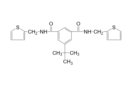 N,N'-bis(2-thenyl)-5-tert-butylisophthalamide