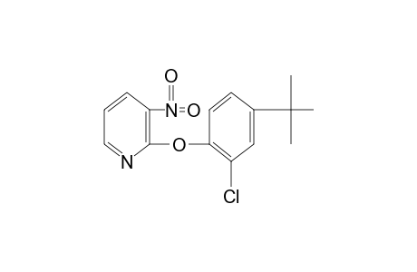 2-(4-tert-butyl-2-chlorophenoxy)-3-nitropyridine