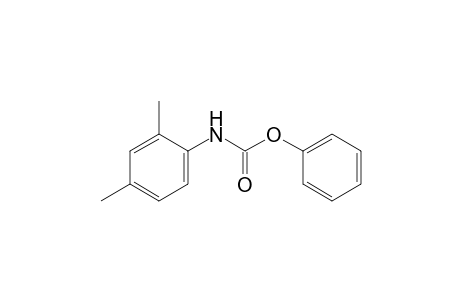 2,4-Dimethylcarbanilic acid, phenyl ester