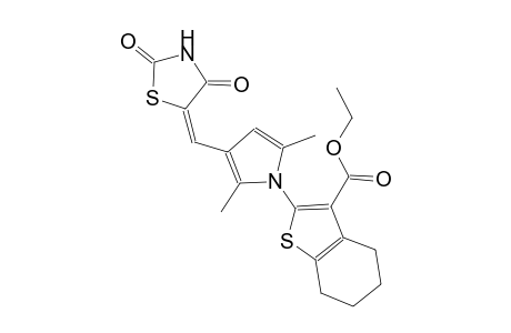 ethyl 2-{3-[(E)-(2,4-dioxo-1,3-thiazolidin-5-ylidene)methyl]-2,5-dimethyl-1H-pyrrol-1-yl}-4,5,6,7-tetrahydro-1-benzothiophene-3-carboxylate