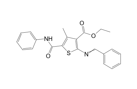 Ethyl-2-(benzylideneamino)-4-methyl-5-(phenylcarbamoyl)thiophene-3-carboxylate