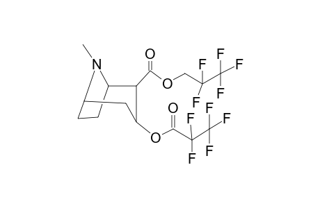 Ecgonine, o-pentafluoropropionyl-, pentafluoropropyl ester