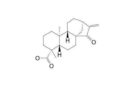 ENT-15-OXO-KAUR-16-EN-19-OIC-ACID;EOKA