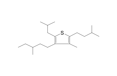 3-METHYL-2-(3'-METHYLBUTYL)-4-(3'-METHYLPENTYL)-5-(2'-METHYLPROPYL)THIOPHENE