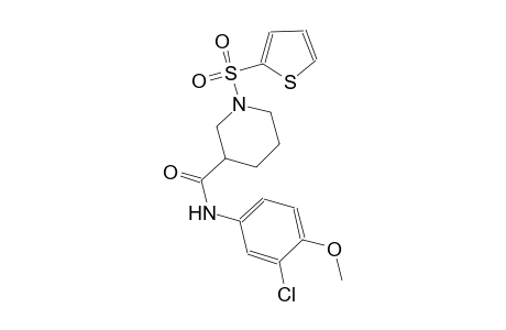 N-(3-chloro-4-methoxyphenyl)-1-(2-thienylsulfonyl)-3-piperidinecarboxamide