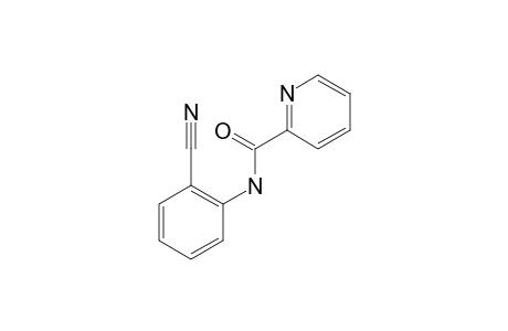 N-(2-Cyanophenyl)picolinamide