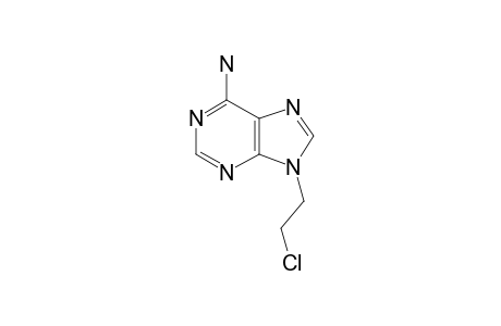 9H-Purin-6-amine, 9-(2-chloroethyl)-