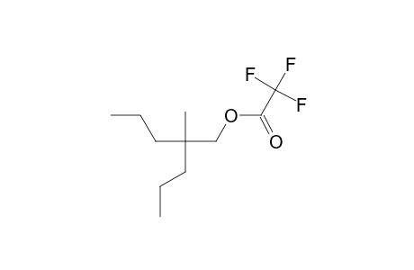 trifluoroacetic acid, 2-methyl-2-propylpentyl ester