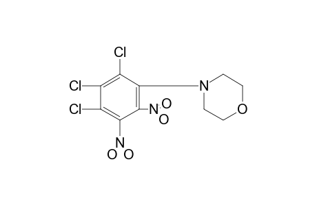 4-(2,3-dinitro-4,5,6-trichlorophenyl)morpholine