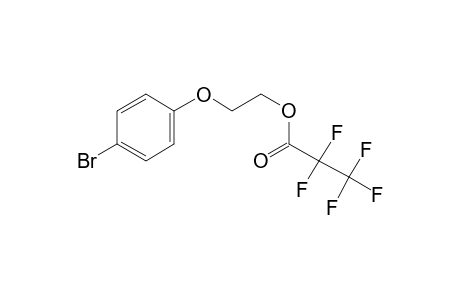 2-(4-Bromophenoxy)ethanol, pentafluoropropionate