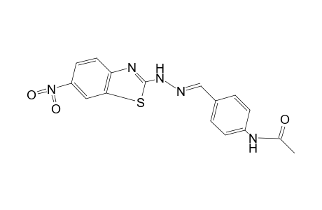 4'-formylacetanilide, 4'-[(6-nitro-2-benzothiazolyl)hydrazone]