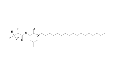 L-Leucine, N-pentafluoropropionyl-, heptadecyl ester