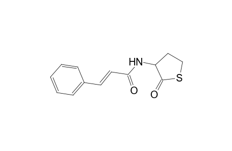 (2E)-N-(2-oxotetrahydro-3-thienyl)-3-phenyl-2-propenamide