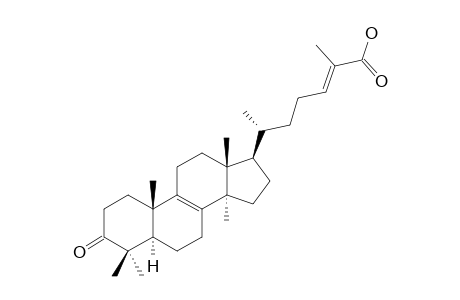 3-OXO-(24E)-LANOSTA-8,24-DIEN-26-OIC-ACID