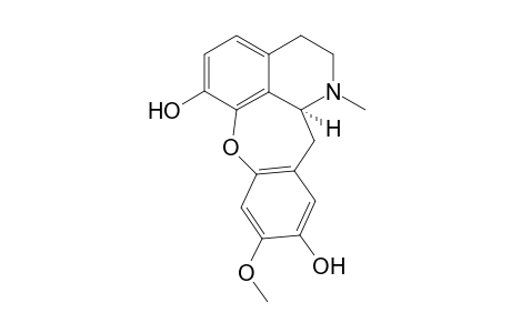 Culacorine