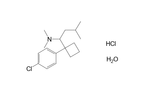 Sibutramine HCl monohydrate