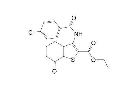 Ethyl 3-[(4-chlorobenzoyl)amino]-7-oxo-4,5,6,7-tetrahydro-1-benzothiophene-2-carboxylate