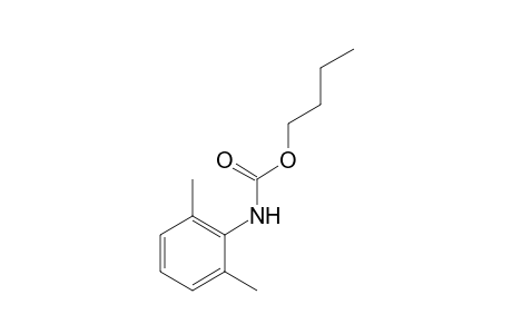 2,6-dimethylcarbanilic acid, butyl ester