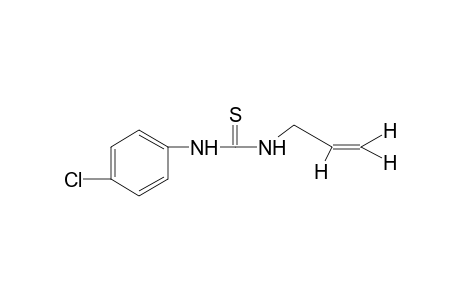 1-Allyl-3-(p-chlorophenyl)-2-thiourea