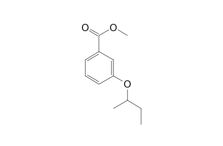 Benzoic acid, 3-(1-methylpropyl)oxy-, methyl ester