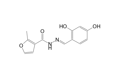 N'-[(E)-(2,4-dihydroxyphenyl)methylidene]-2-methyl-3-furohydrazide